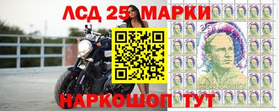 шишки Волгодонск