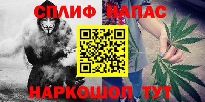 шишки Волгодонск