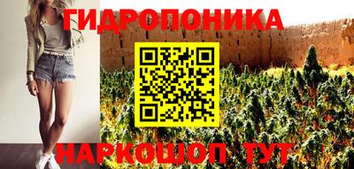 шишки Волгодонск