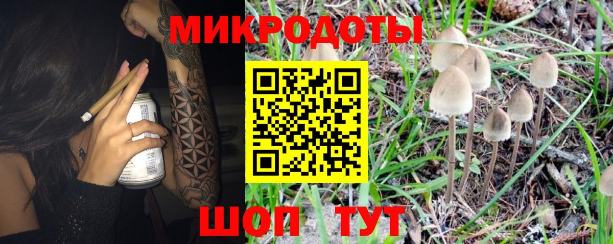 Галлюциногенные грибы мицелий Елизово